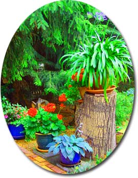 Link zur Landesgartenschau 2006